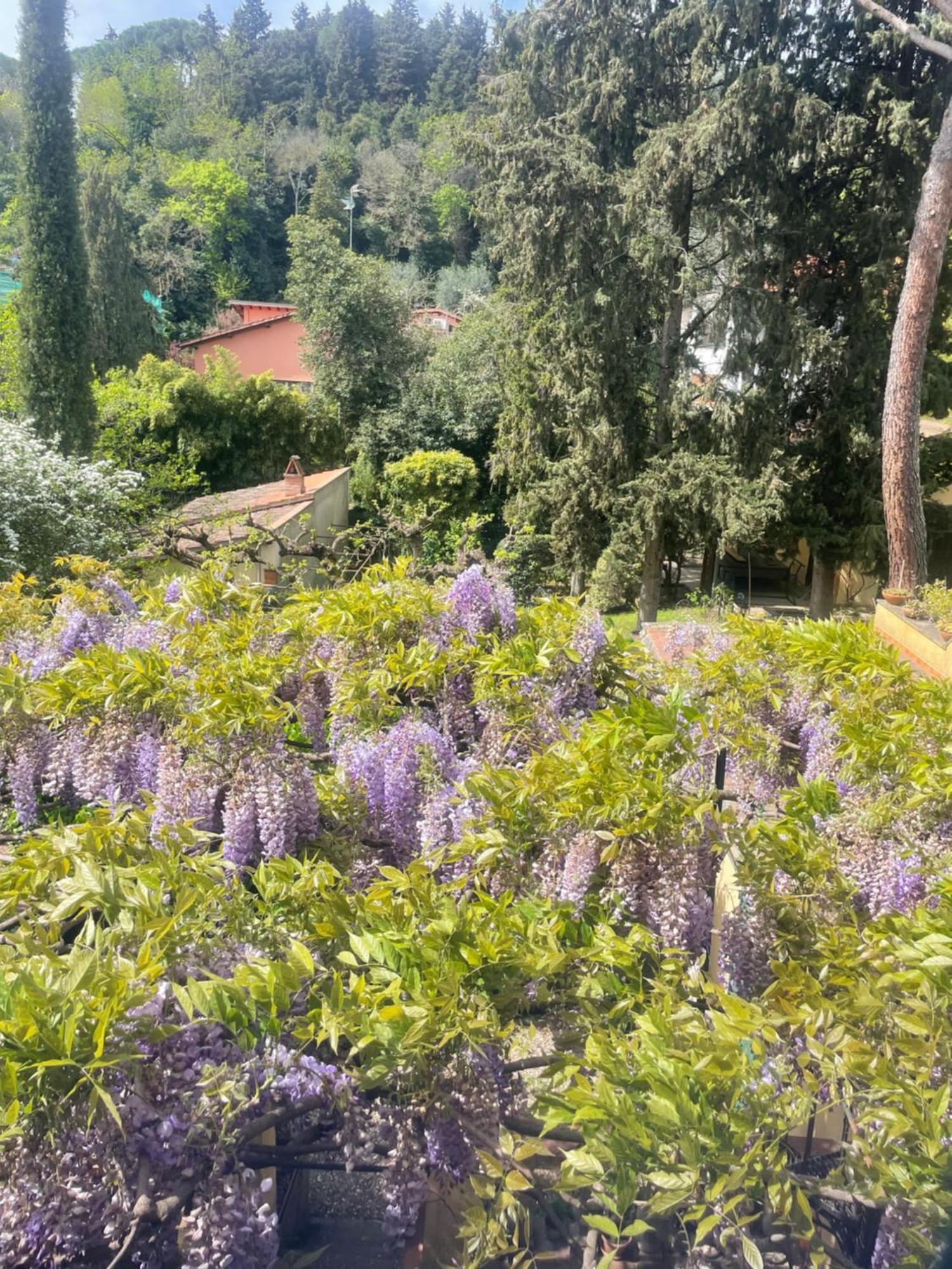 Albero Mago Ξενοδοχείο Φλωρεντία Εξωτερικό φωτογραφία